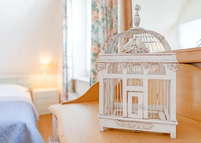 Witthus Schwalbennest